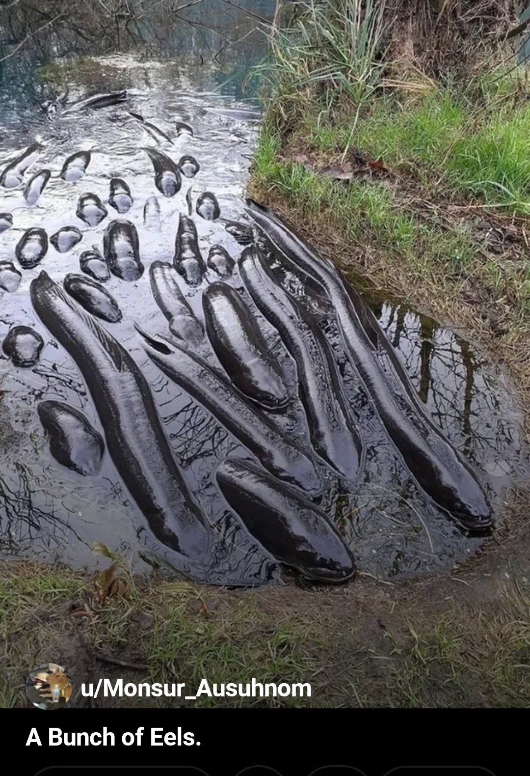 16764936-6684-4100-8ecf-8fa0639e8232