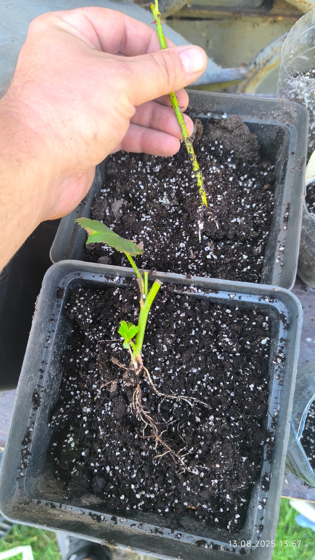 34343808-1b74-440e-adb0-48c975ac7da9