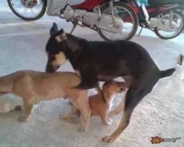 f723be6b-a973-47f7-81e5-b308c648fe16