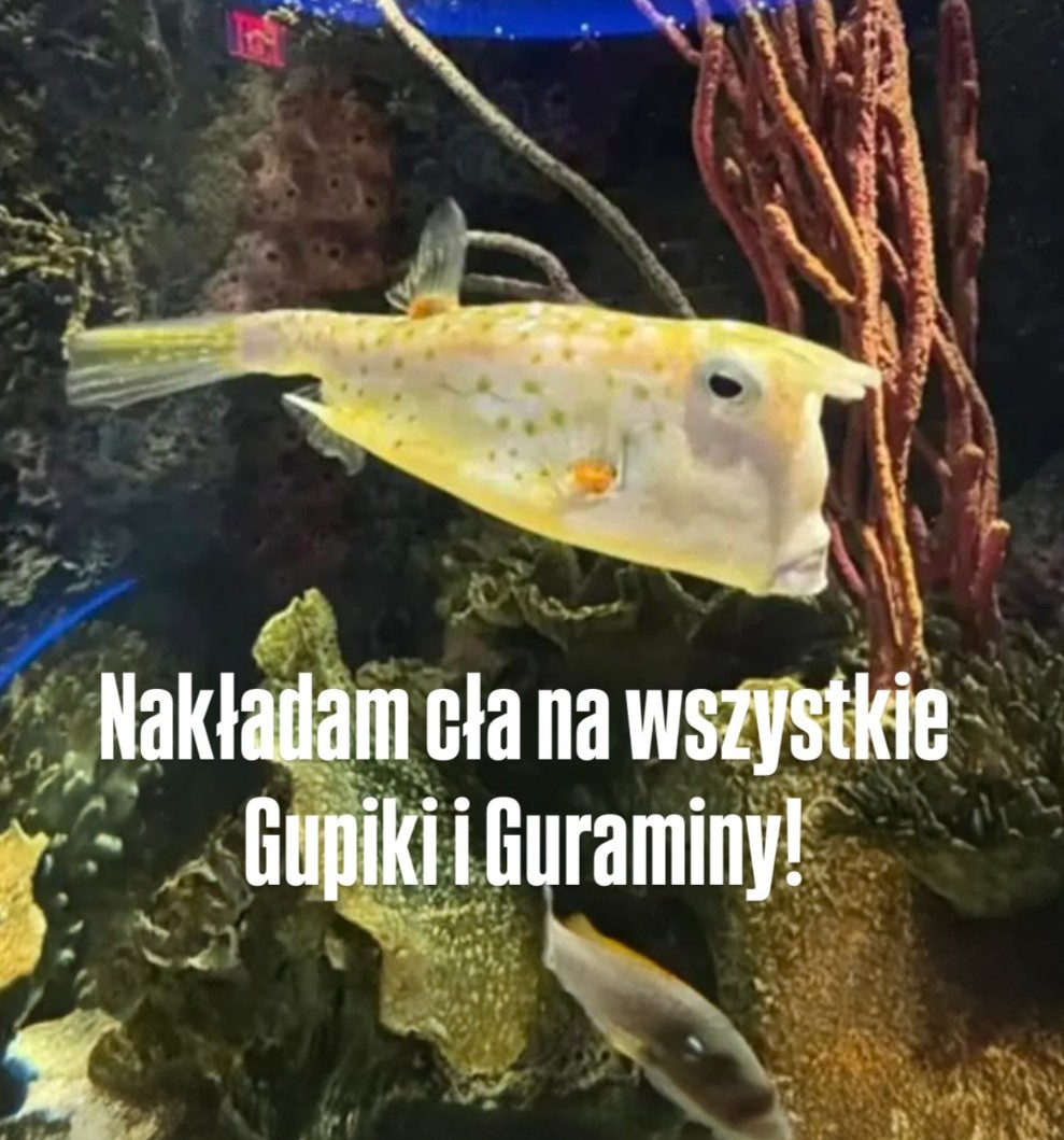 f140c093-77fc-433c-9c6e-4677c3d66d67