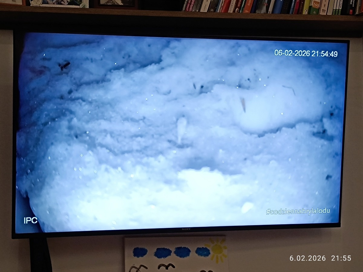 6872c616-97f2-4418-99ef-3f2131d8f1c8