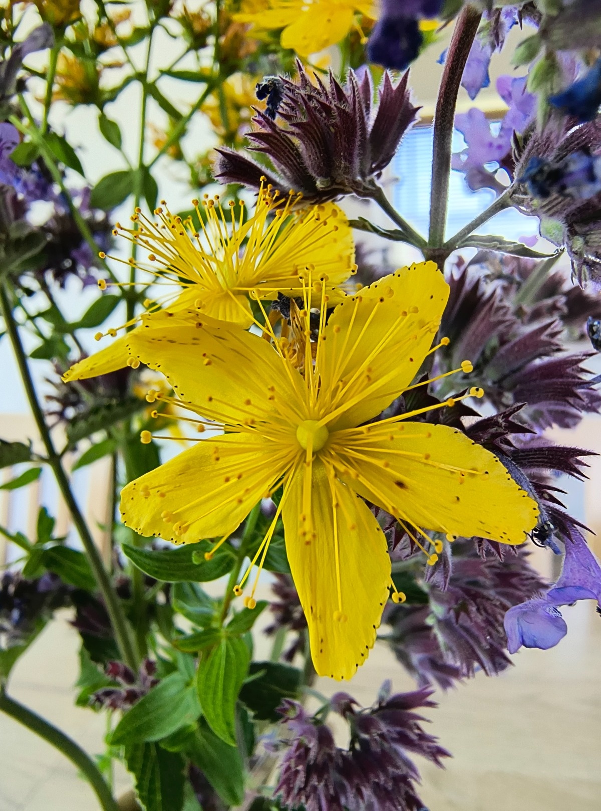 e1561bf4-e60b-4e65-a824-44c03b5fba32