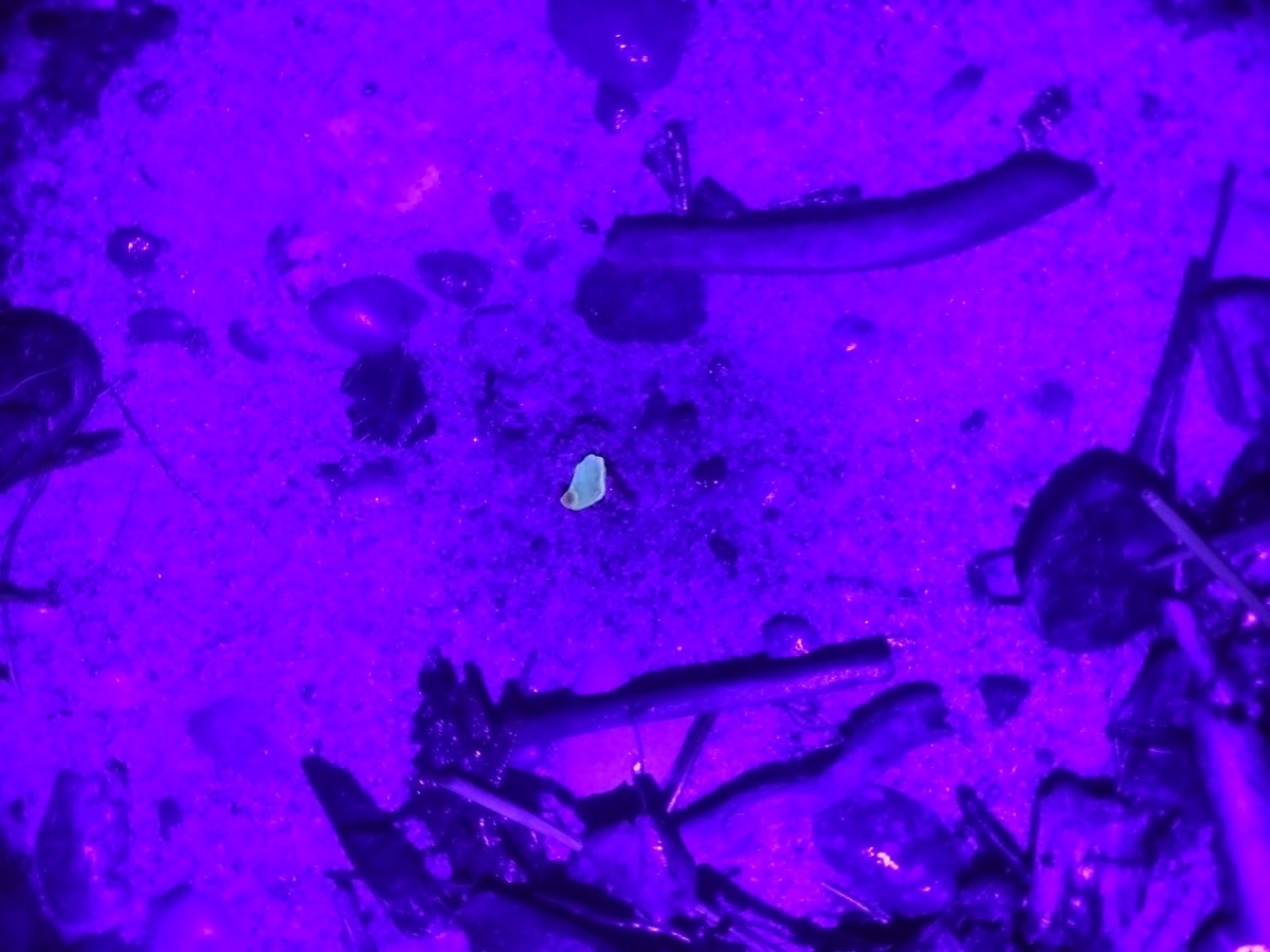 ba9df5e8-f83d-41a7-9c45-48326ab380ae