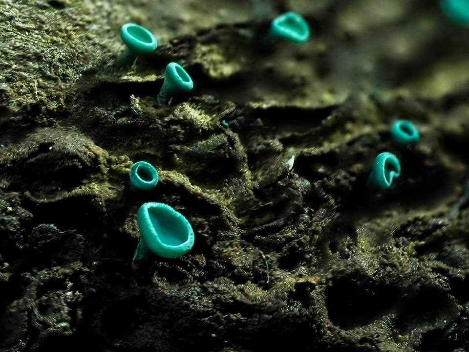 89b49db5-68e5-4f0e-b8e7-fb748c9b99f2