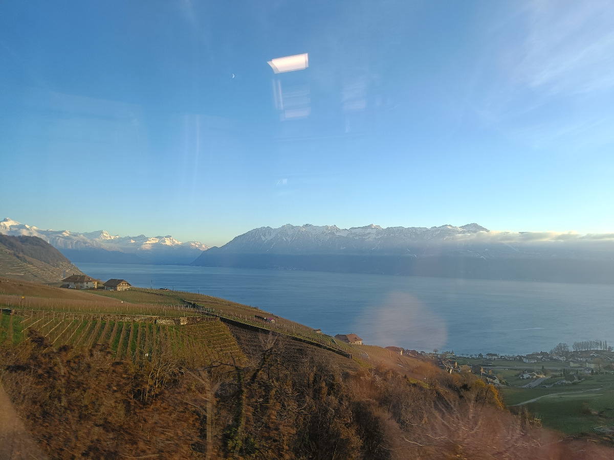 2025-11-27 16.11.01.jpg