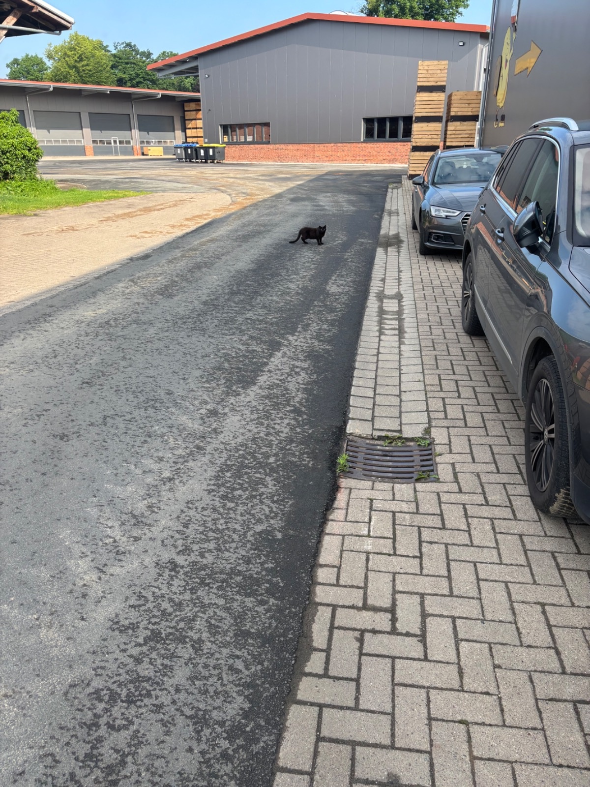 3aa7eda2-de7e-464d-9b19-f363cc29d3fe