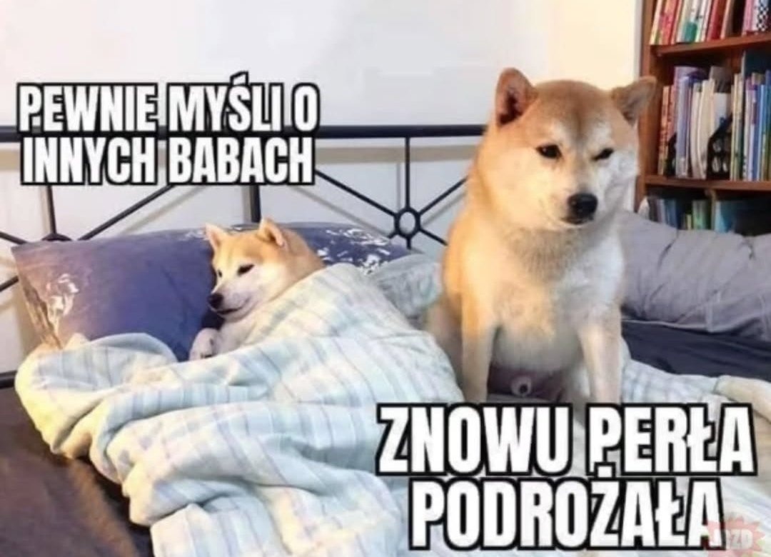 023118ea-138a-45e5-a39f-ee64e700c39b