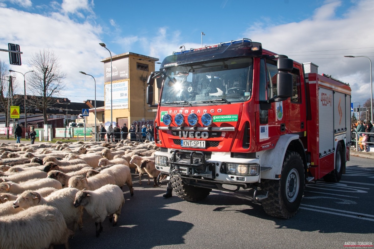 3b0ae0b1-b013-472c-91fa-bfca2c024191