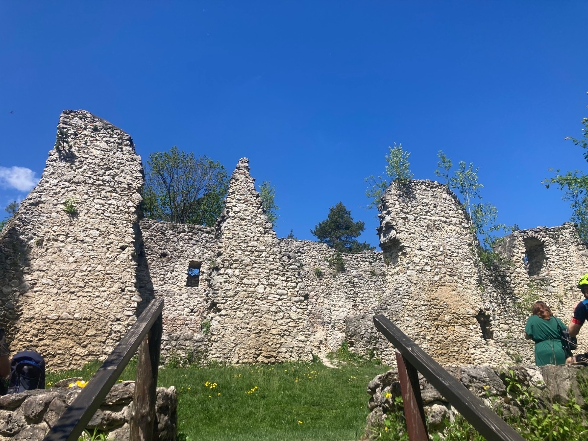 2efc2c98-d76e-484b-b1c2-d9bfb207153b