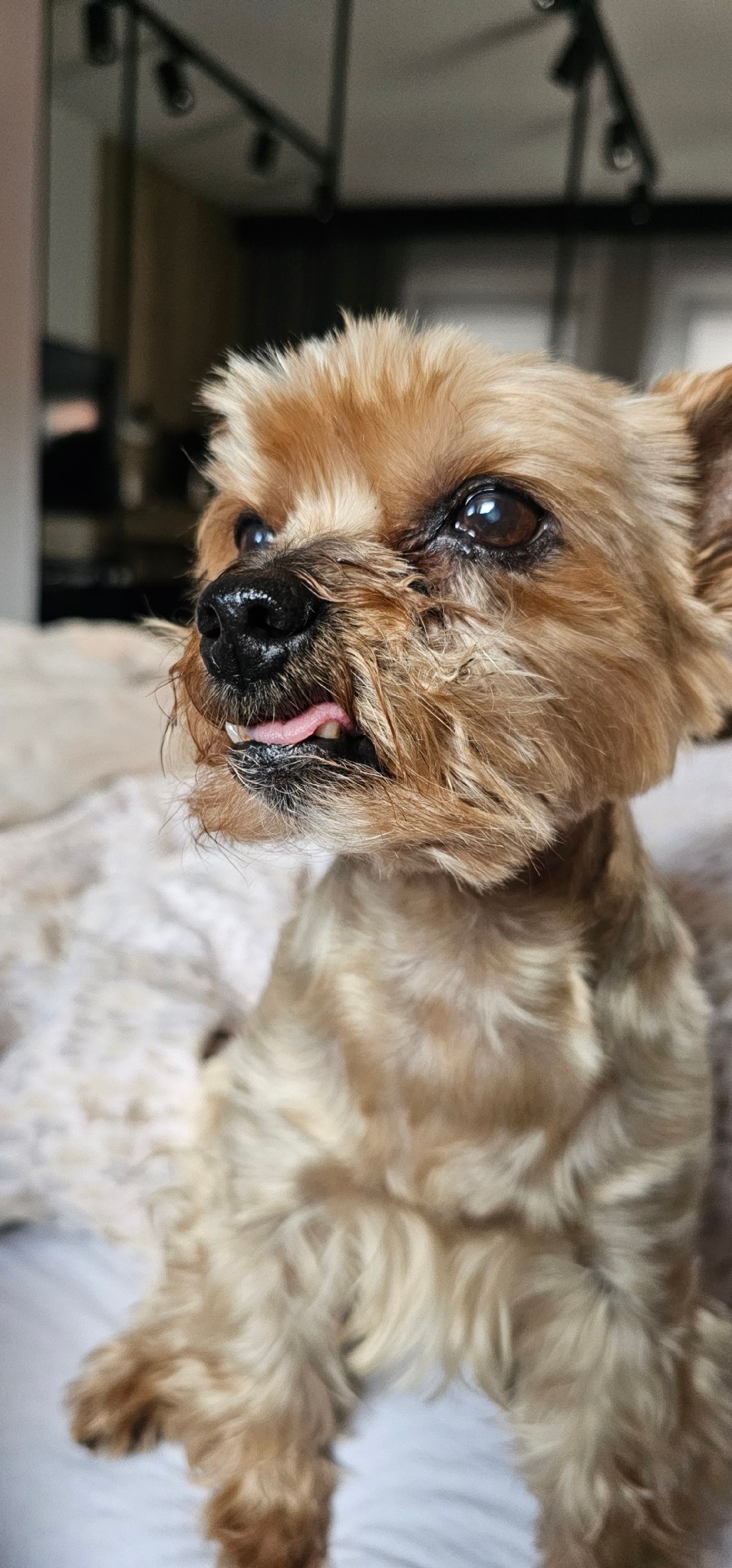 17d0c9ac-cbb2-40b4-93c8-18a43afdd4fa