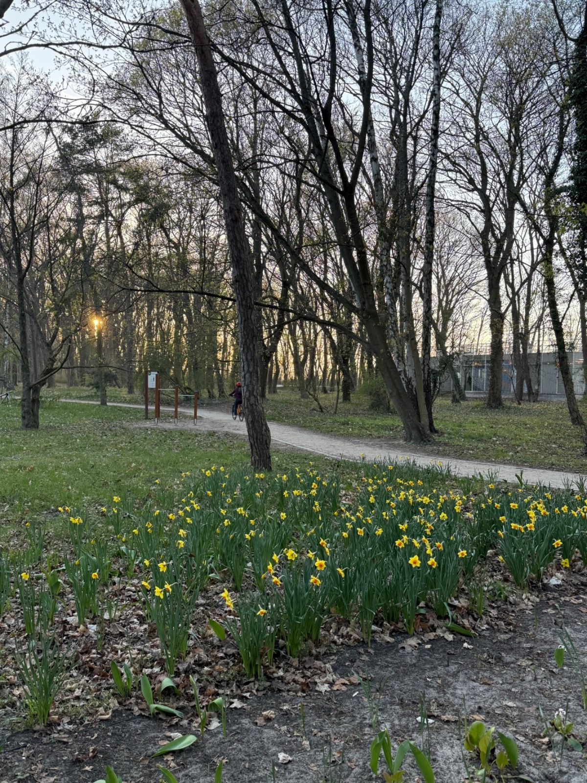 d2ec6eb6-4497-4f9c-ad09-80ce520451f6