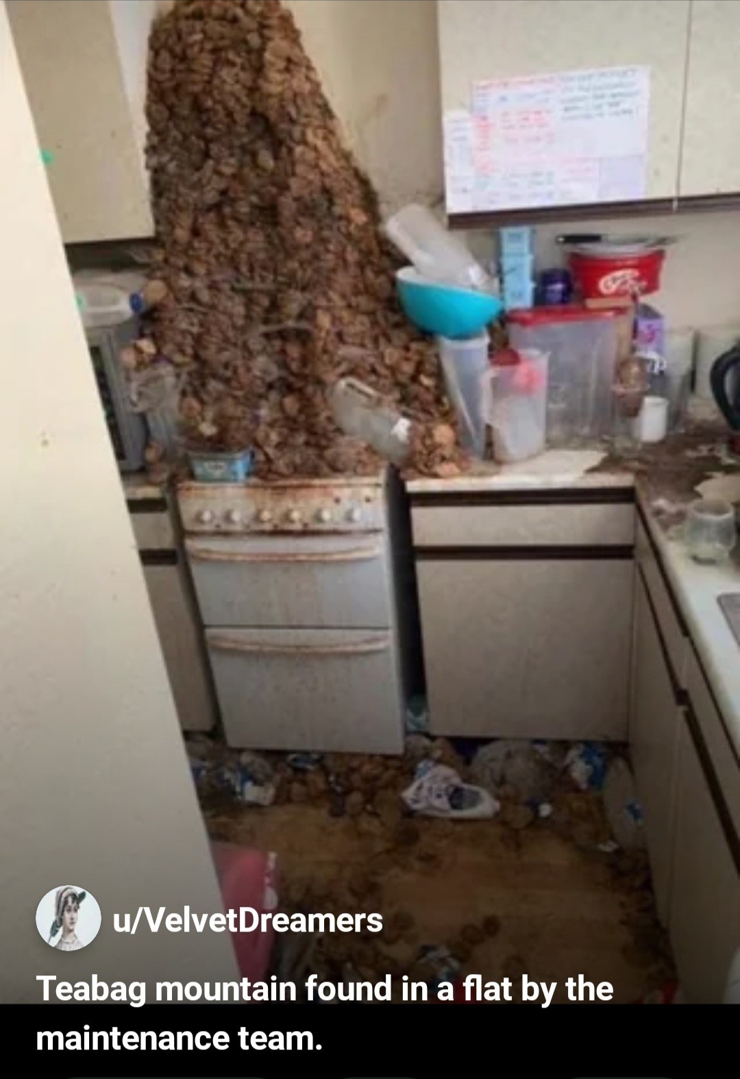 98449394-85d4-4548-9aa7-c6cacc7356a4