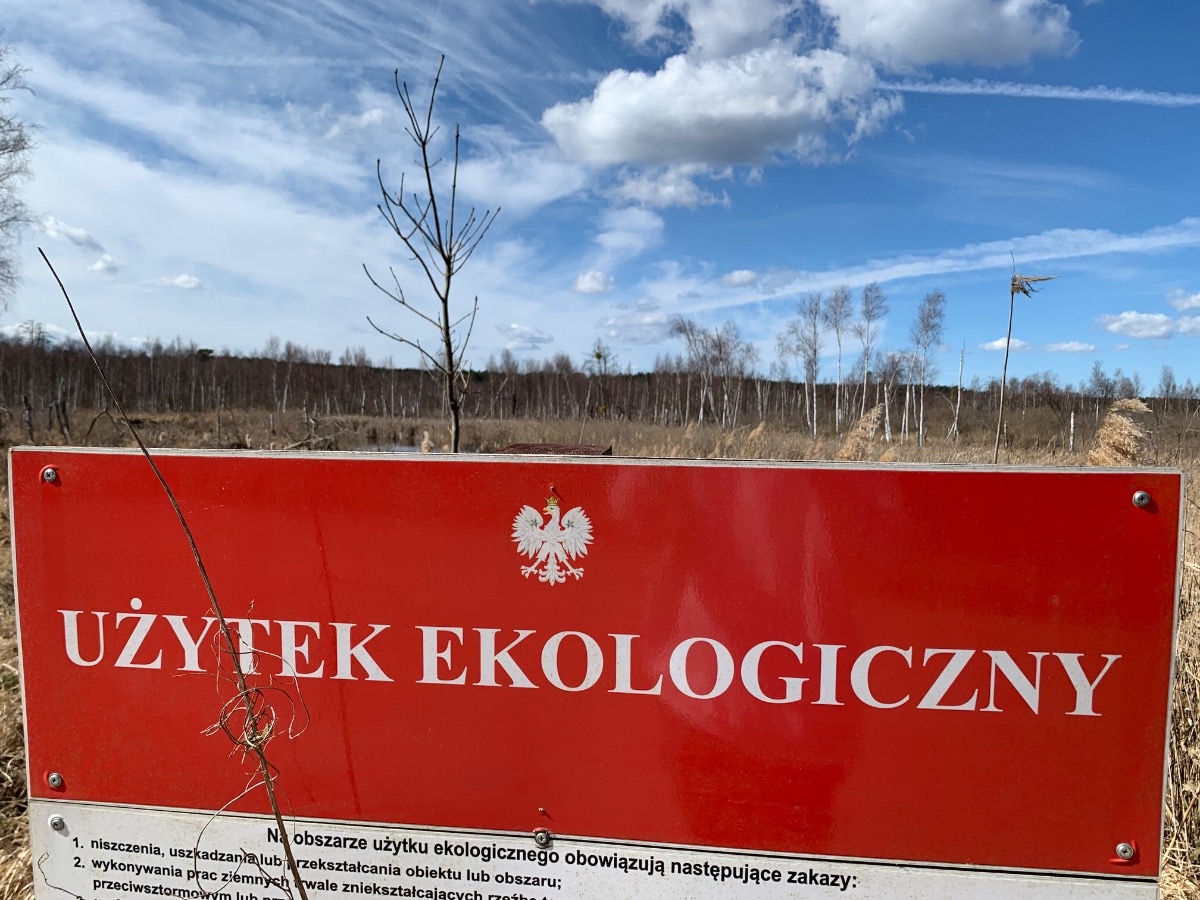 7826c691-0d0f-47a2-b1df-11dbf43c7a5f