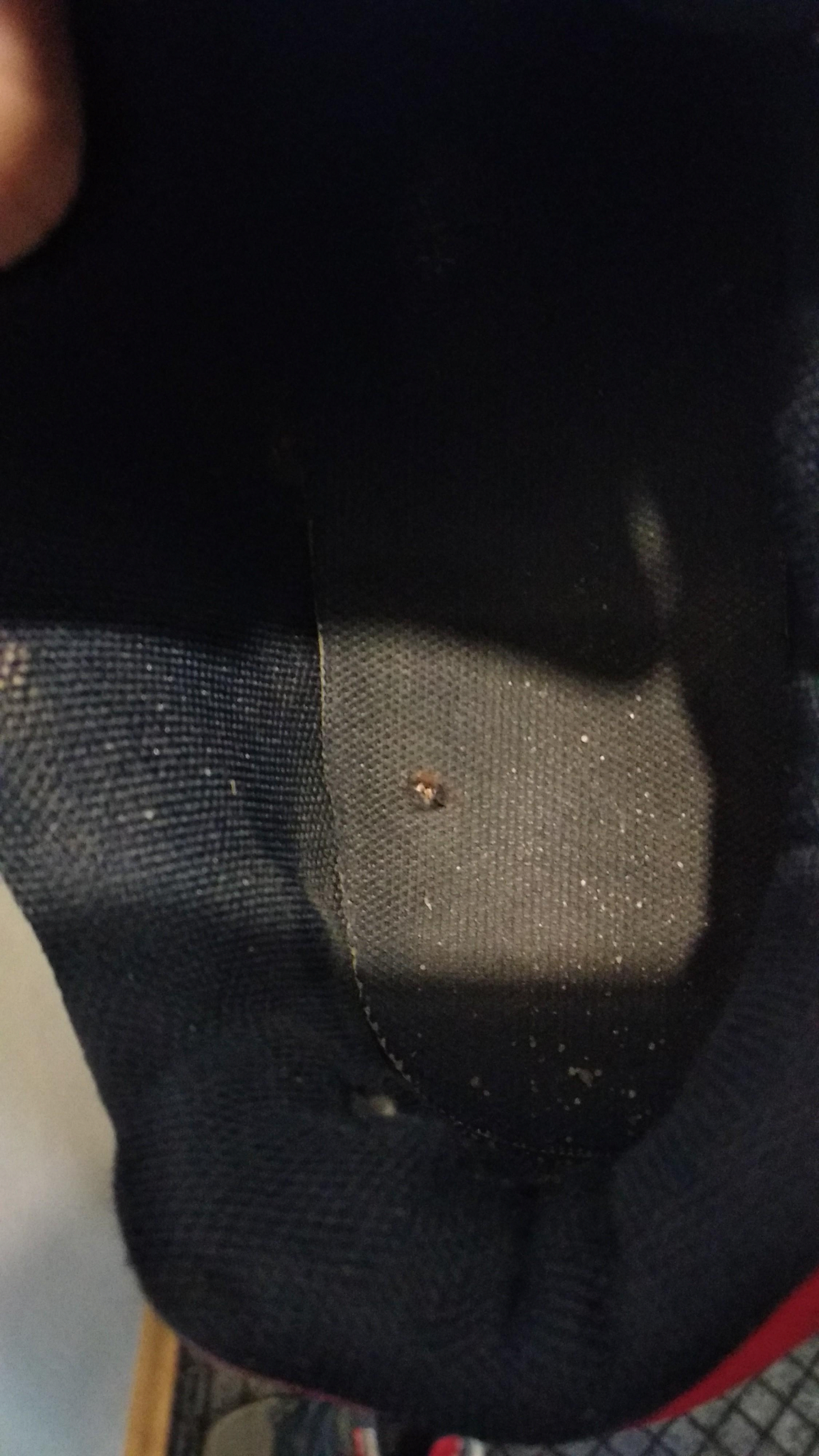 8ab0618e-0bf4-4743-91a0-6a3b786a4381