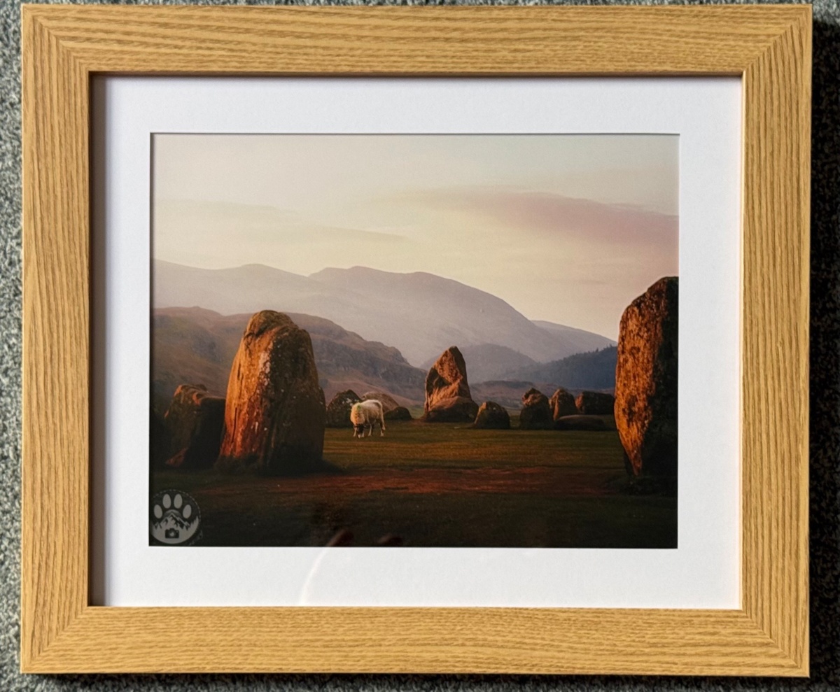 d43bdb52-13d8-4cb3-b1b4-4caee144133d