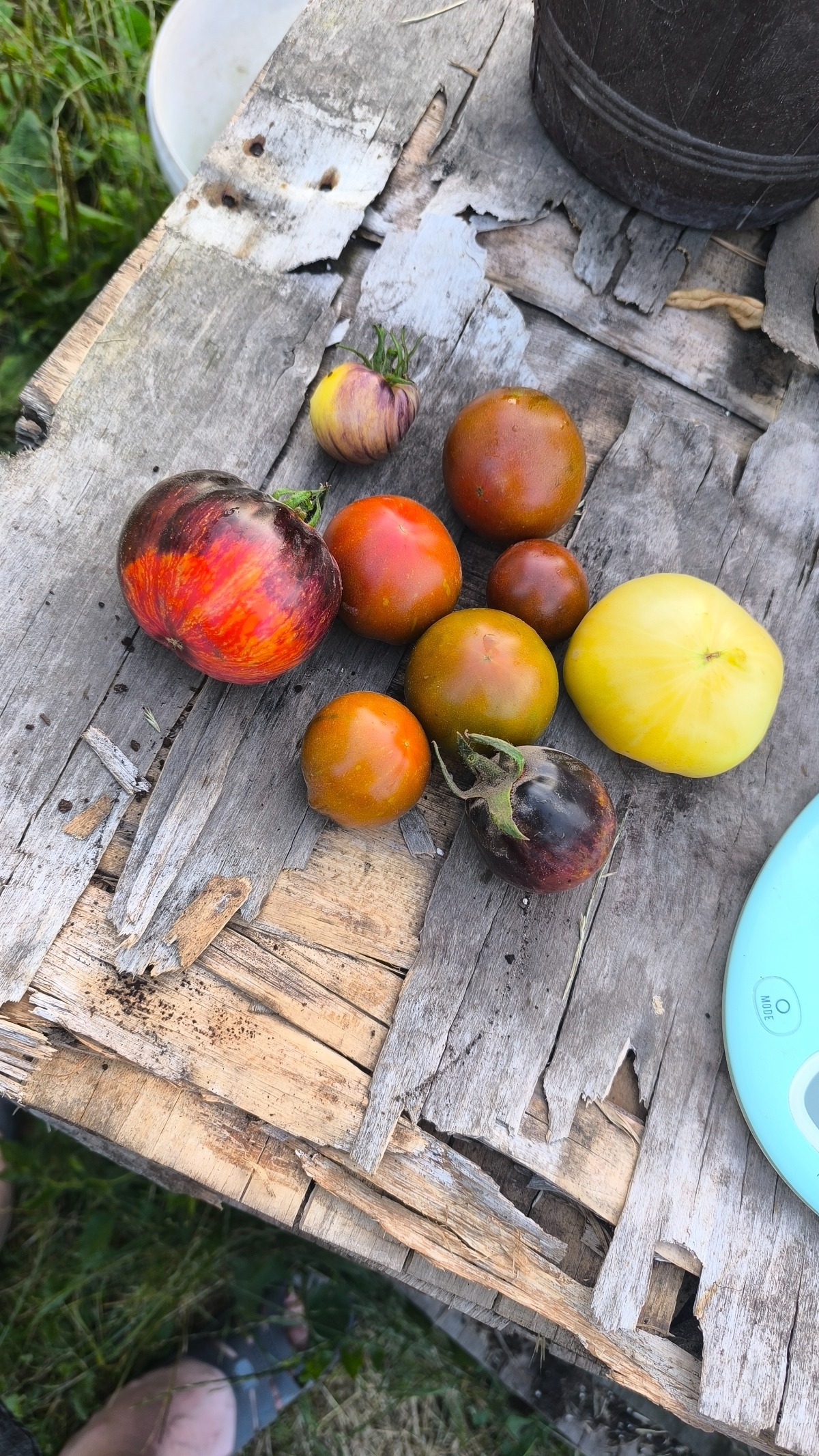 2b94e35a-8c37-4eff-9beb-ed481e976e84