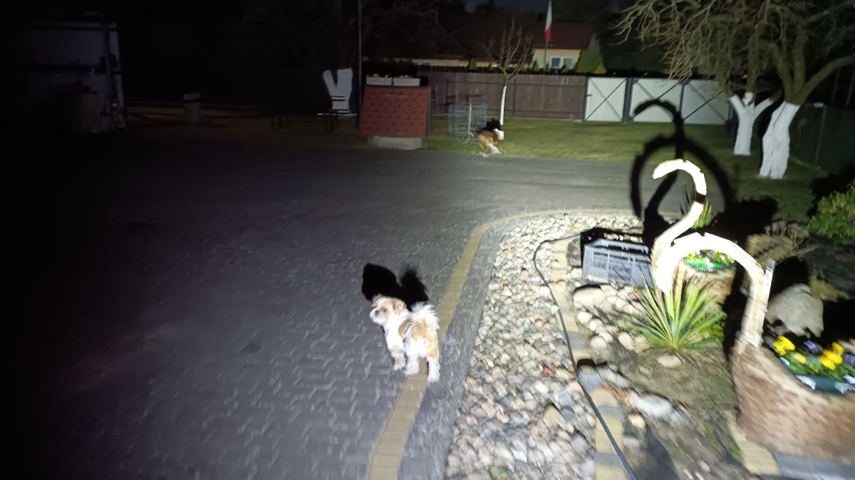 230a3fff-bed3-4279-a663-41900bba7e20