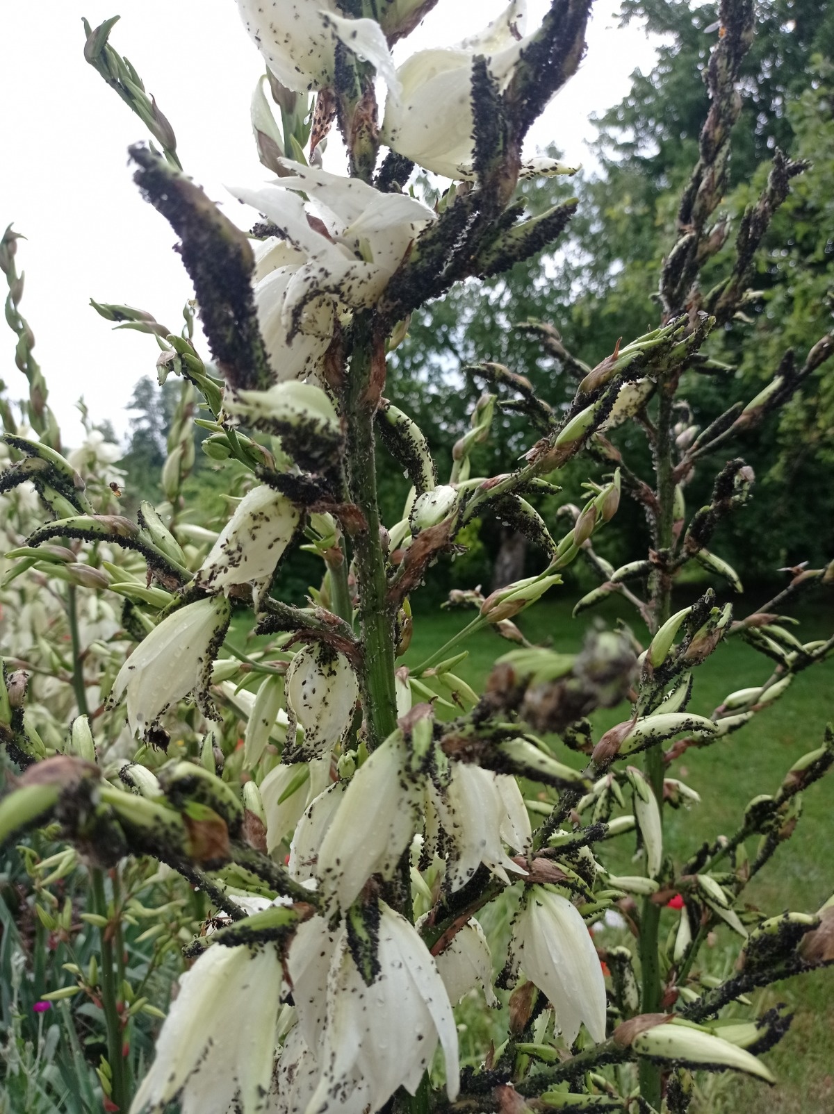 479fefa3-71d6-4f51-b23a-b7f7abda0f91