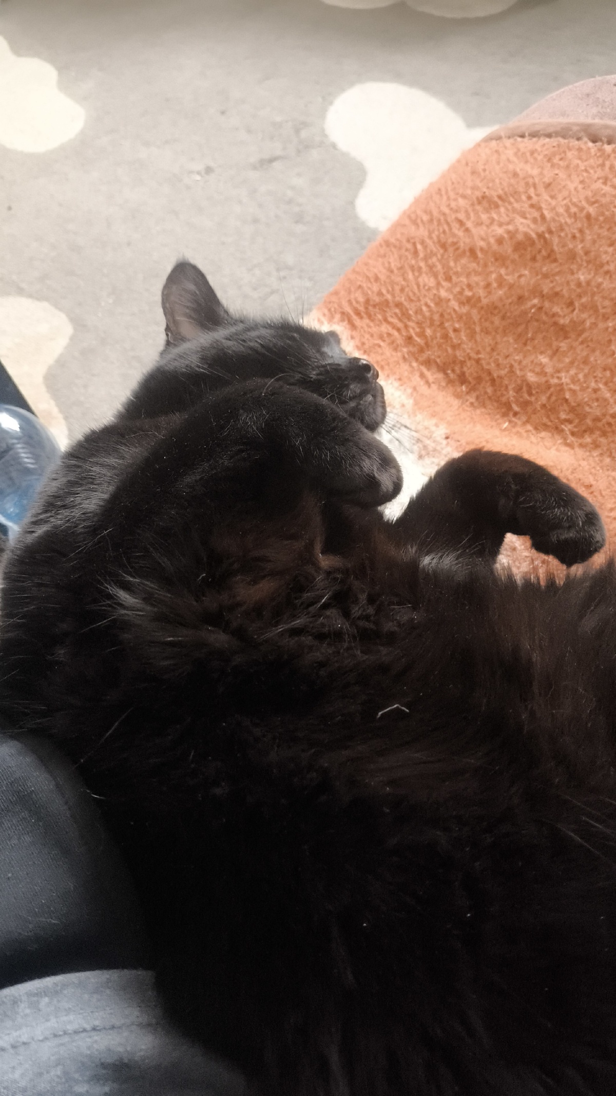 df72097c-37a9-4d5d-b646-6a7954bfea91