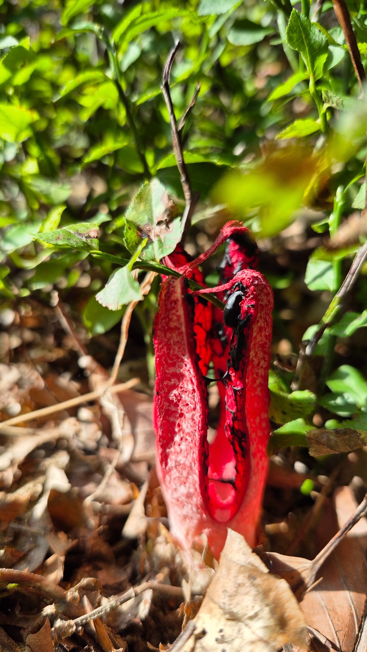 df97f7f5-1c2d-4bc2-804e-3516a61c00ba