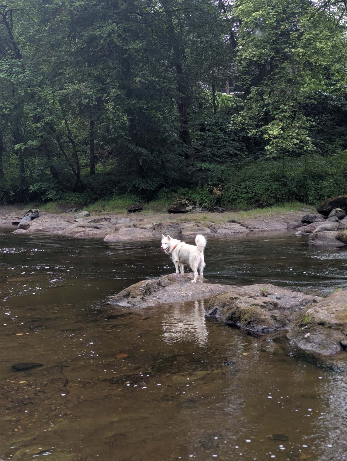 6895d84d-e851-4830-8f7c-0ff18cba7f4e