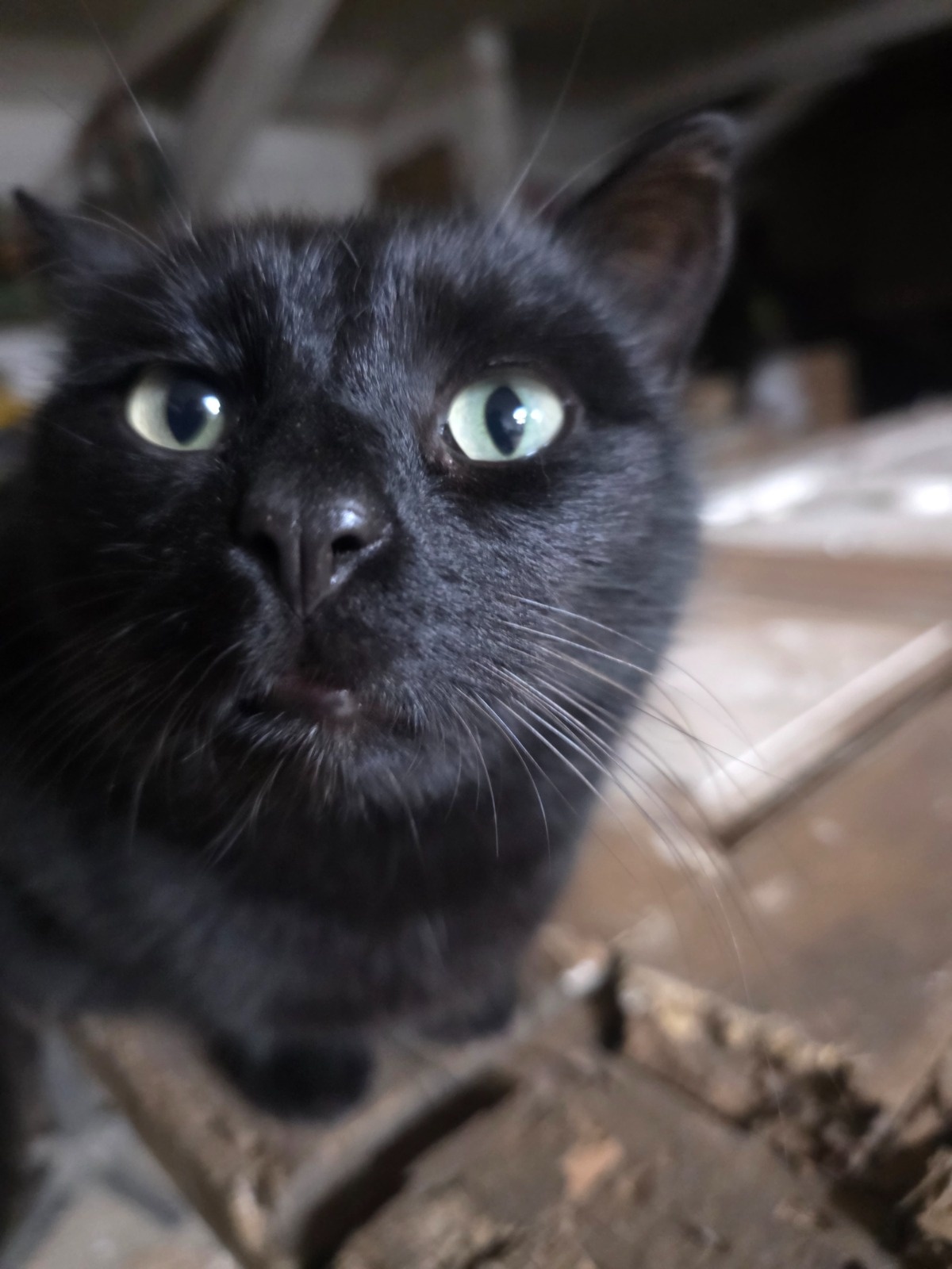 ad360c07-a87d-412a-bcfe-6c17422c91ae