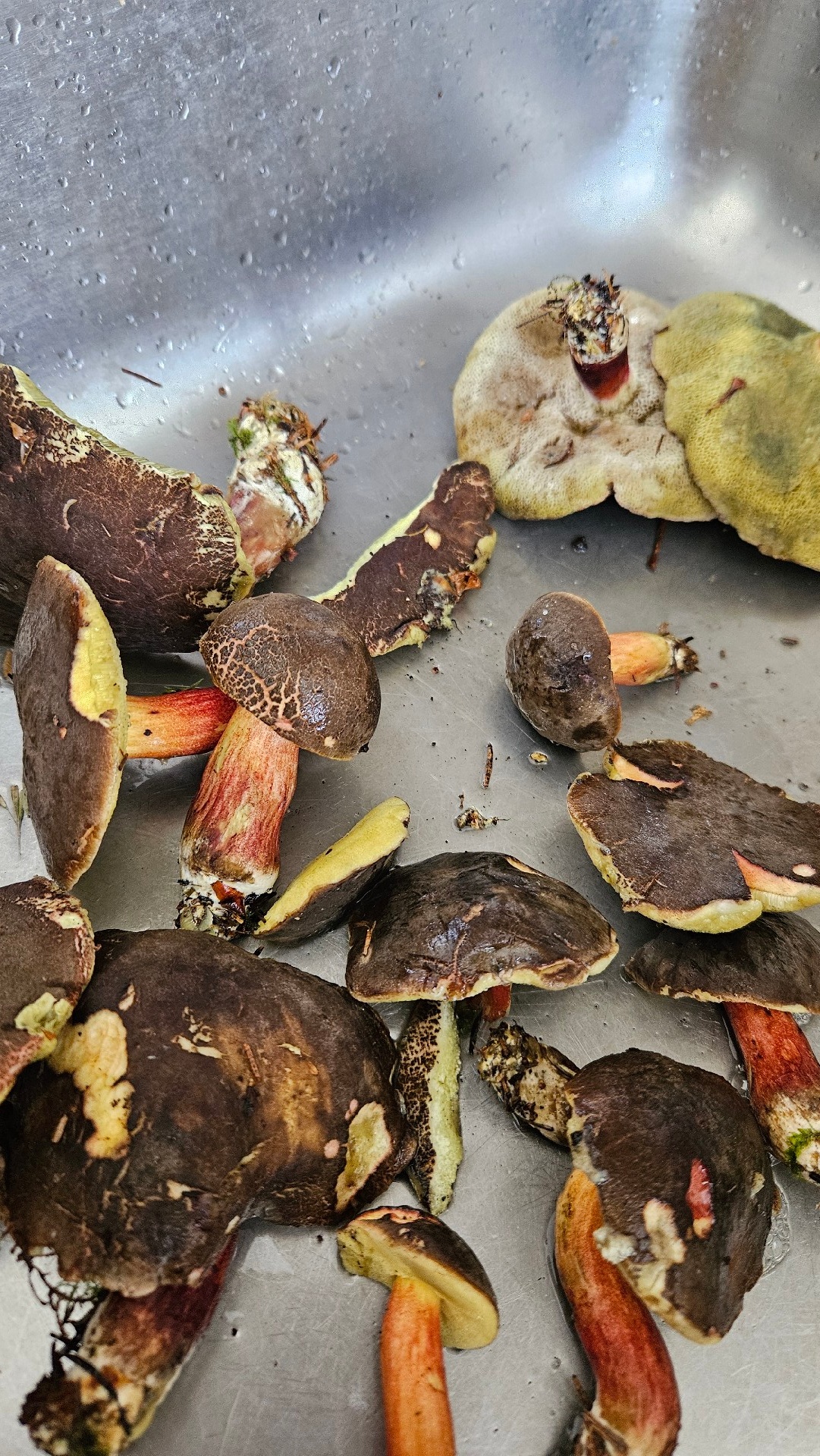 a9a1489a-234d-4abf-96ab-ff9649969bee