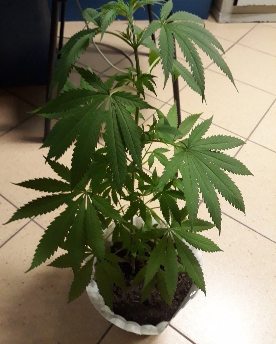 7925a1c6-4b86-4e2a-8df1-131fb09f8d55