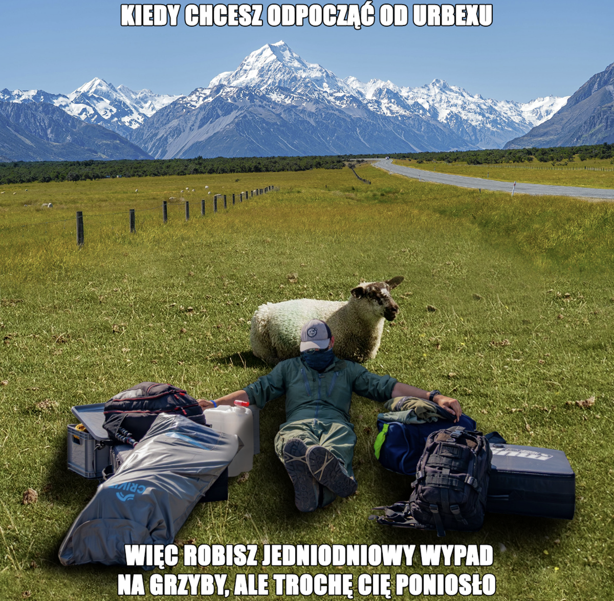 c1219db1-a923-4ab8-928b-c6255361a251