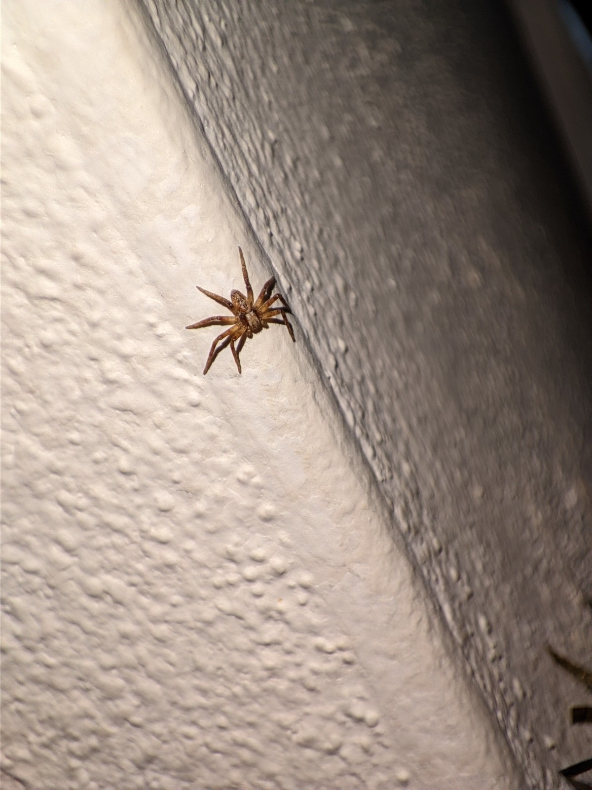 65c9de12-d706-4509-8add-98a19463f54c