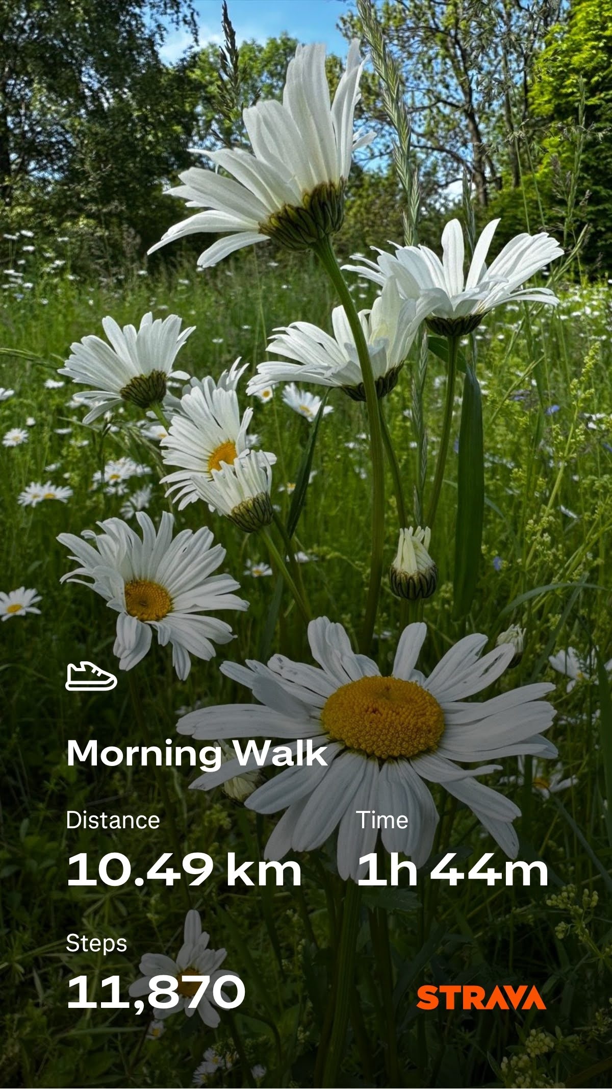 f6f79a99-23fe-4b50-b56b-270d7e621eb2