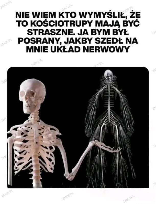 3a414d26-3259-4a2a-9258-d3a93e0a5154