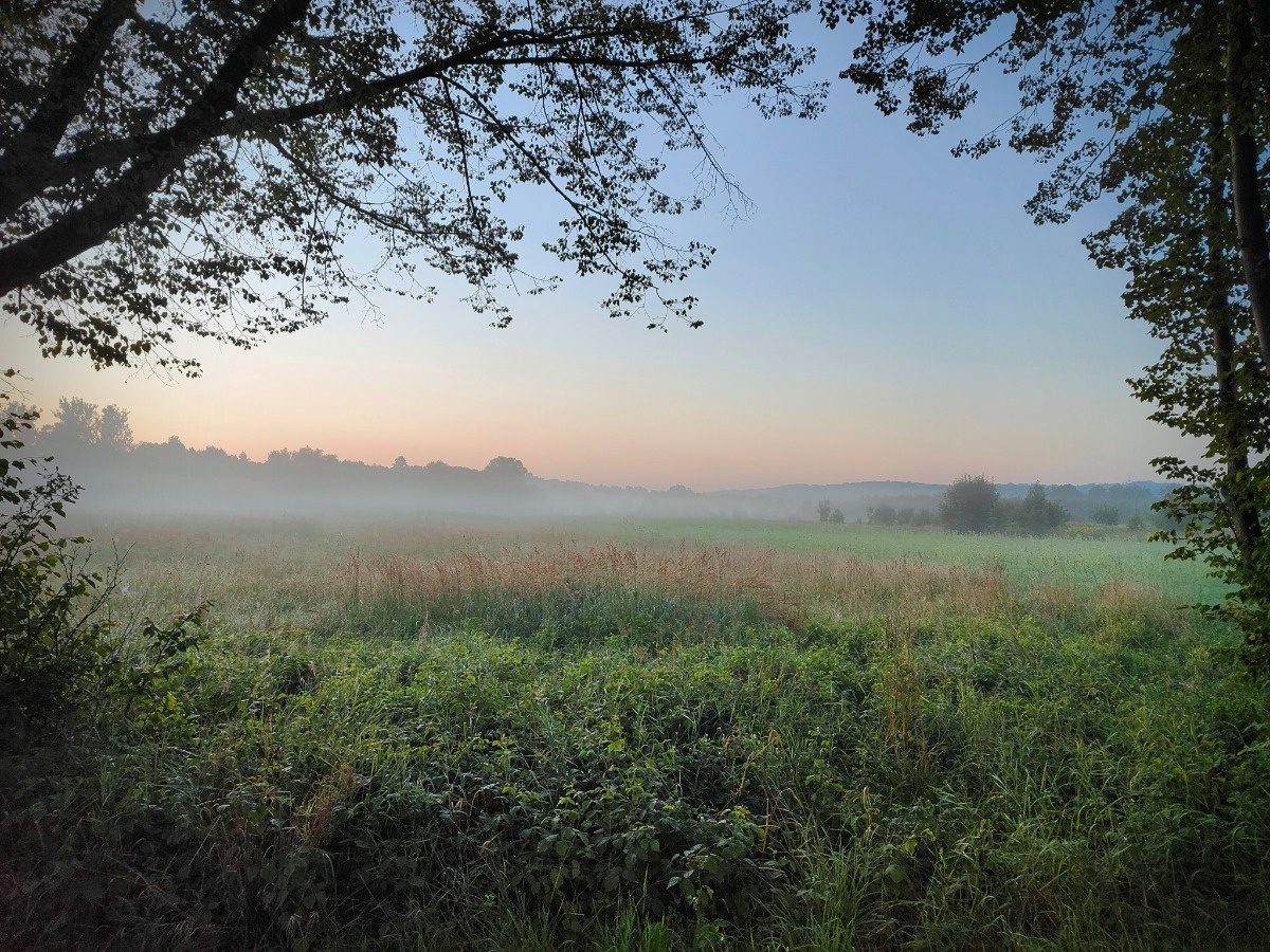 c21059fc-2154-45a3-ac10-0f0b781d748f