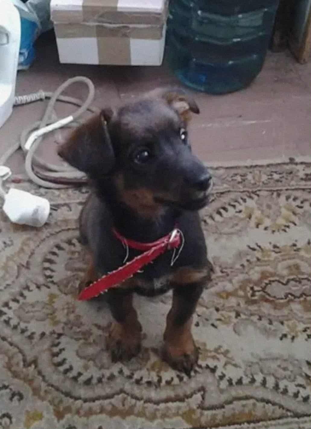 cb2c0dcd-4381-494a-951b-96c2124309e1