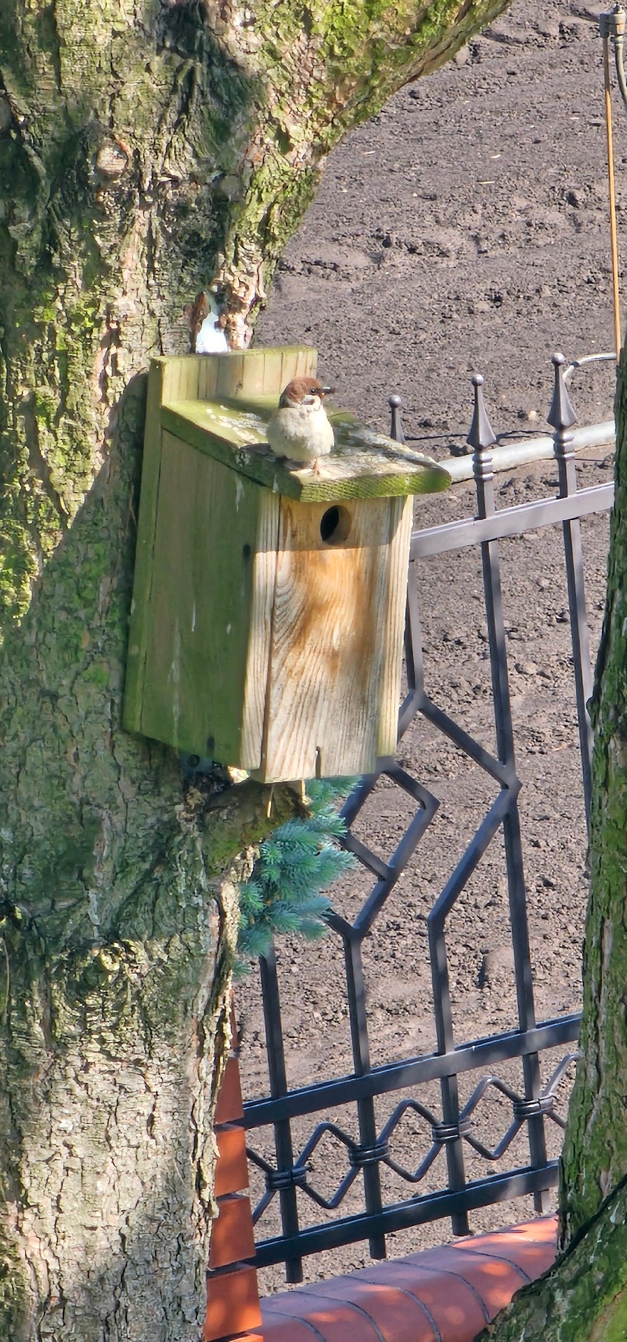 302997d4-6863-4b1e-ba35-e2482209d167