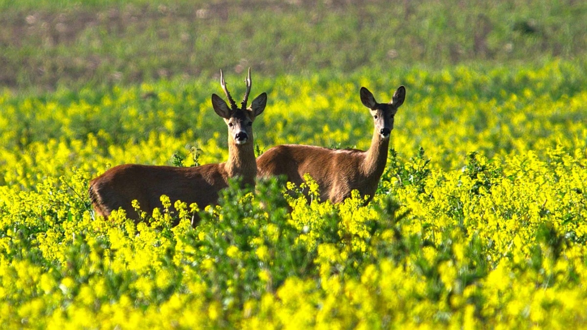 4ee19049-9ea5-4898-a338-e6f3a0148fea