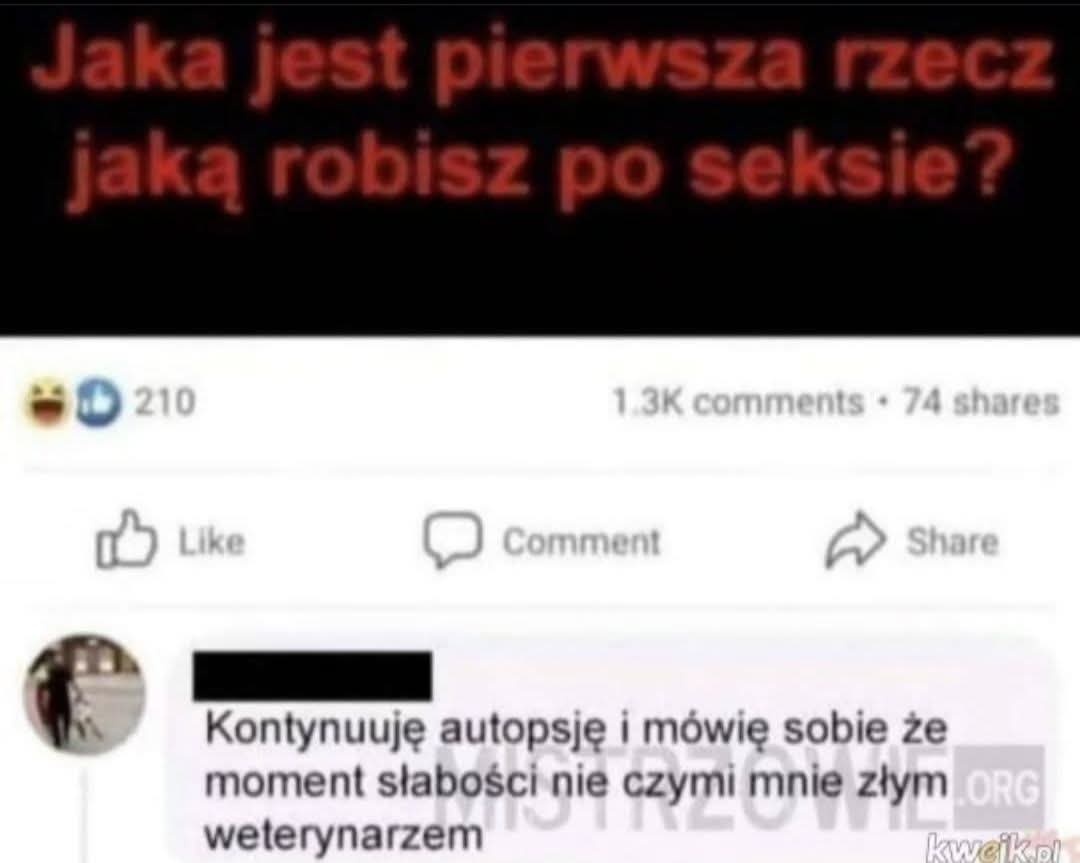 959153f7-10d2-4153-b44f-9e0b66cd5866