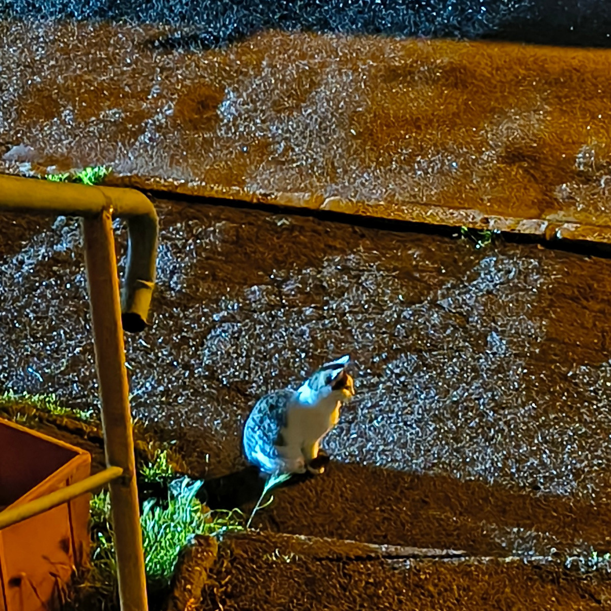 b42680c2-e819-4284-8fec-424aab8e0d20