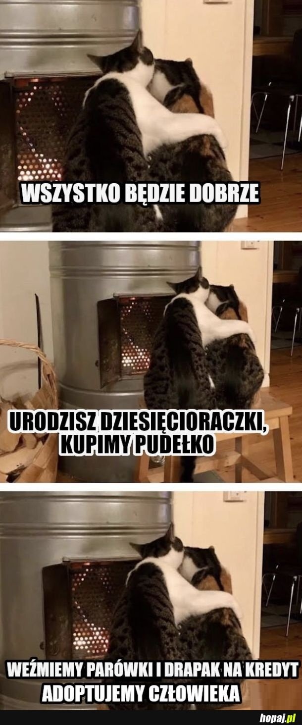 a47d95fc-eefb-45ad-82db-8990f627b862