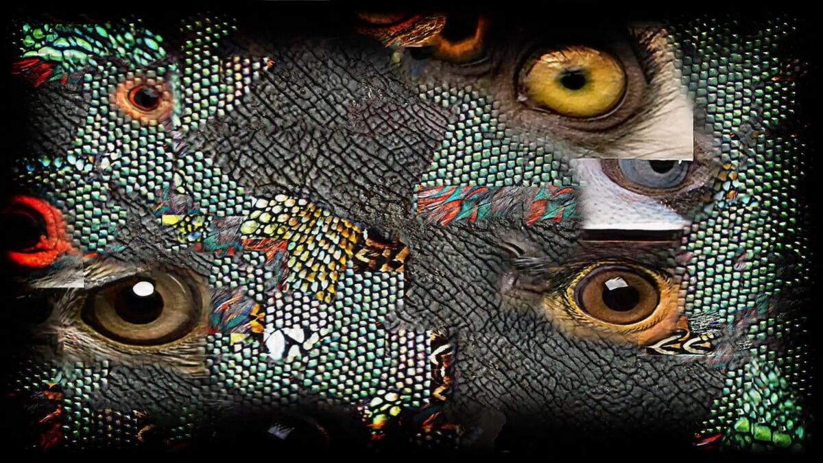 616caad4-1c46-4281-926e-b04f0f709ac0