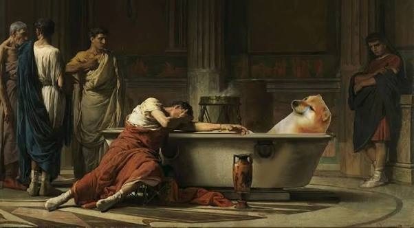 b15f067c-99a4-4af2-8759-c2692371fb3a