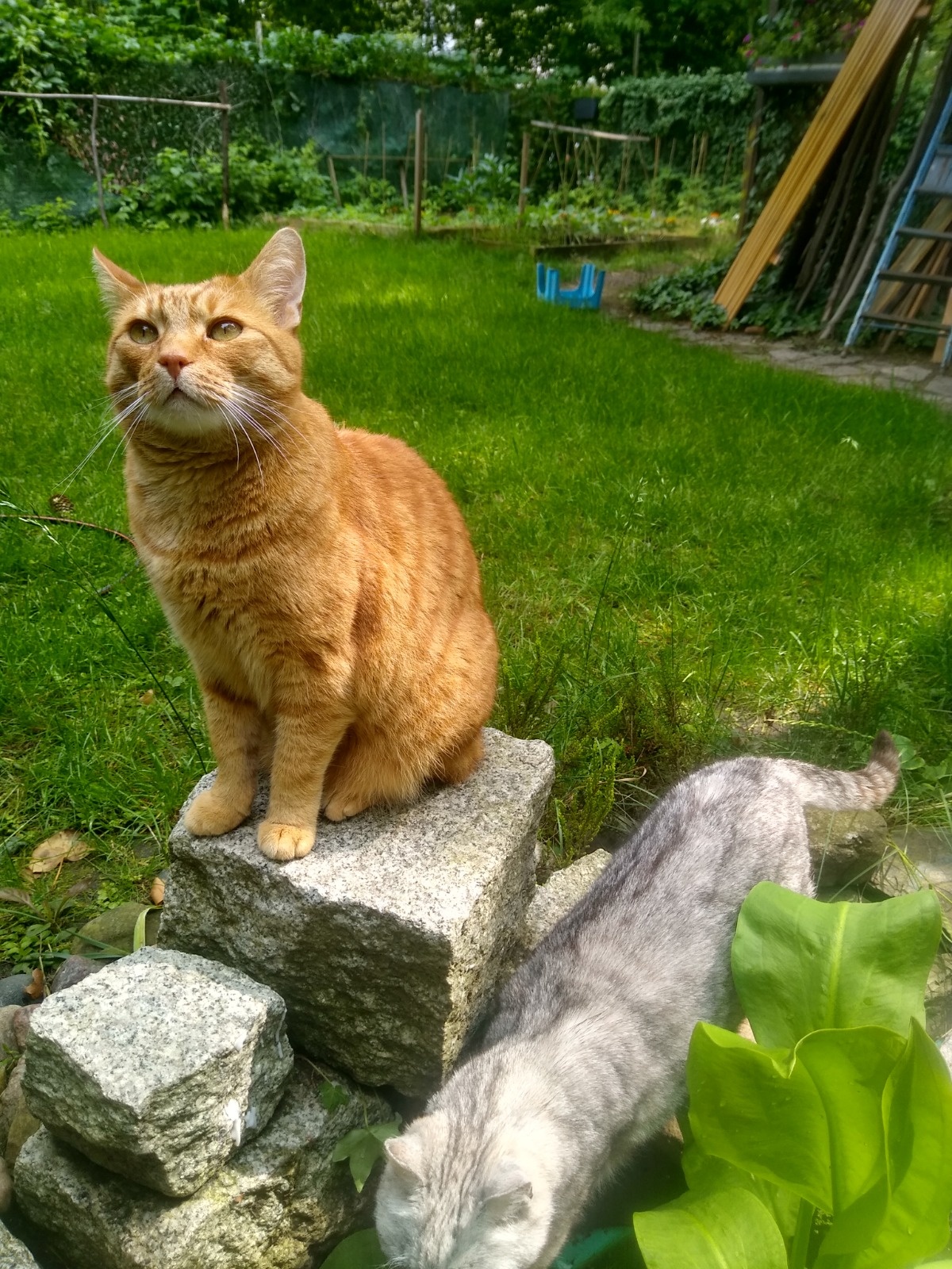 656d2730-3de4-4ea2-9bb8-bca1e7247bc4