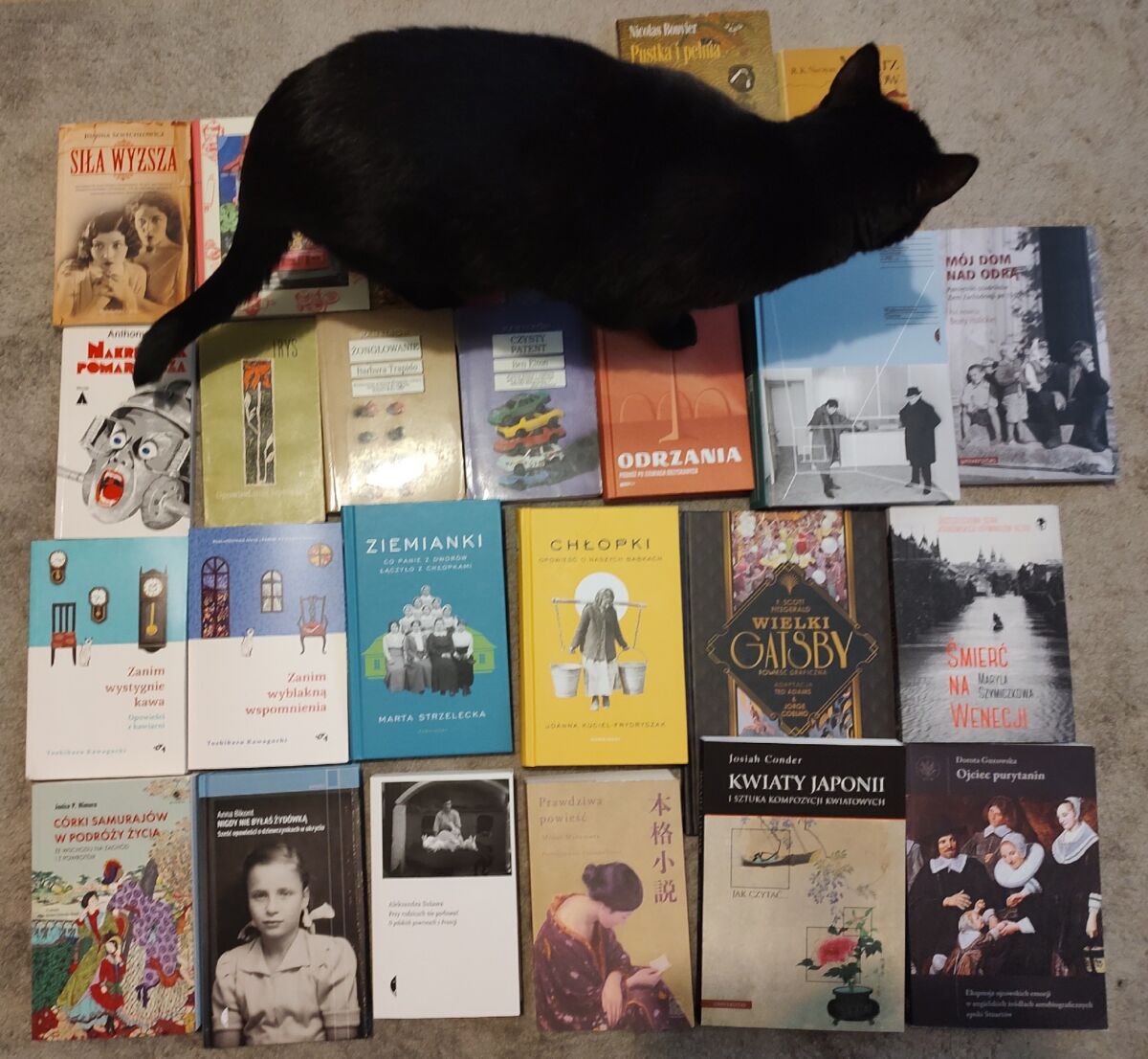 85eb5c62-6a8e-452a-8a20-842552fa7974