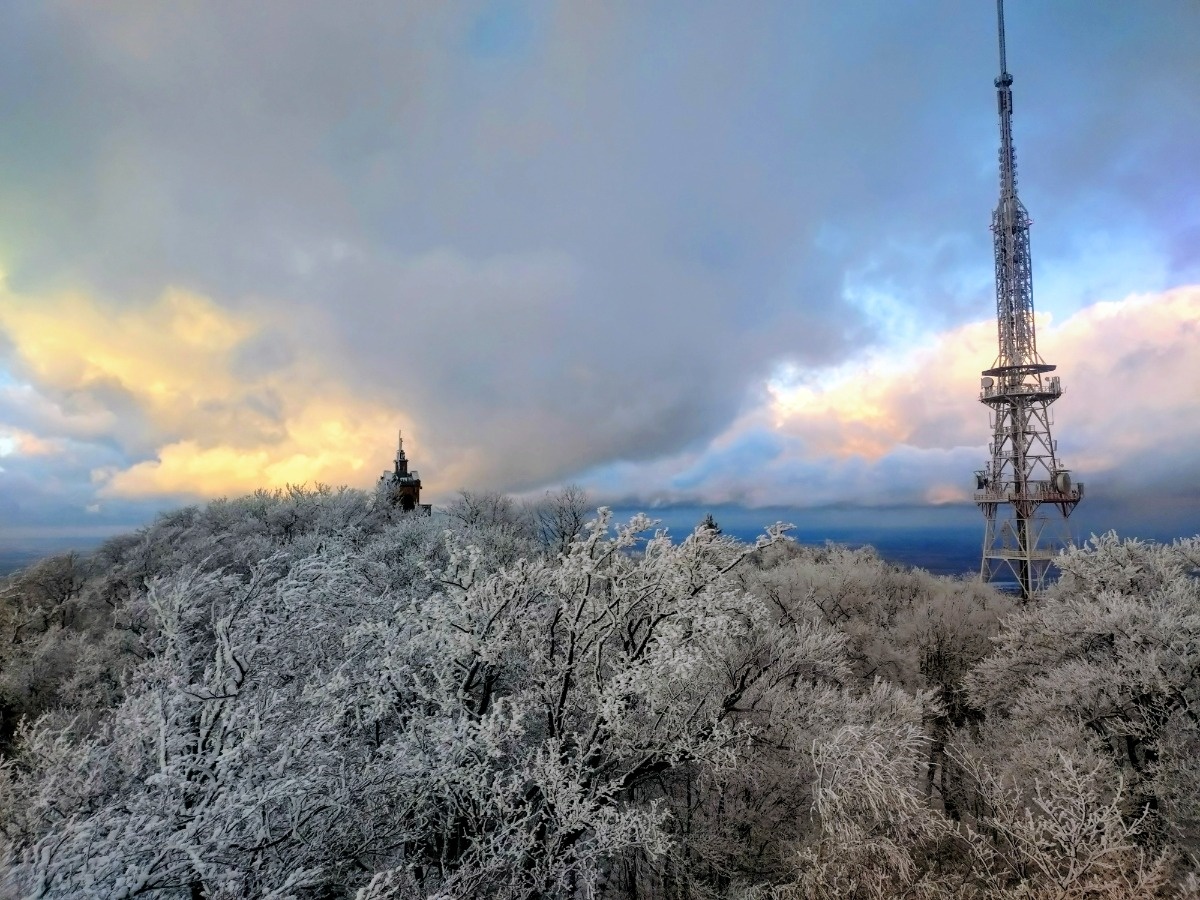 7de67c12-d0d9-499b-b8d6-bdea77f5b285