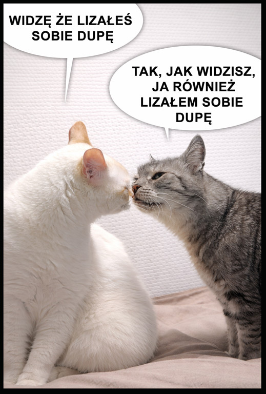 161d5762-b095-488d-99f2-d64b5d75cdac