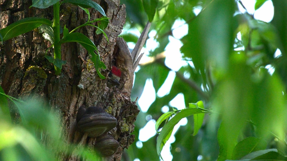 e9c51d61-66ad-418a-bcf0-bb66bcbcdeaa