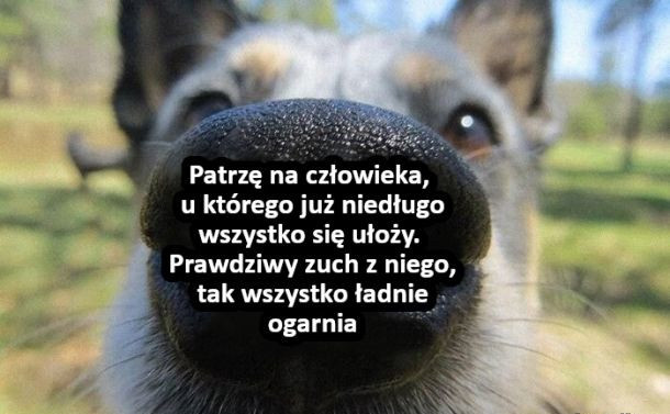 eb0cac98-d537-4acf-9fea-9368dfe0b7c4