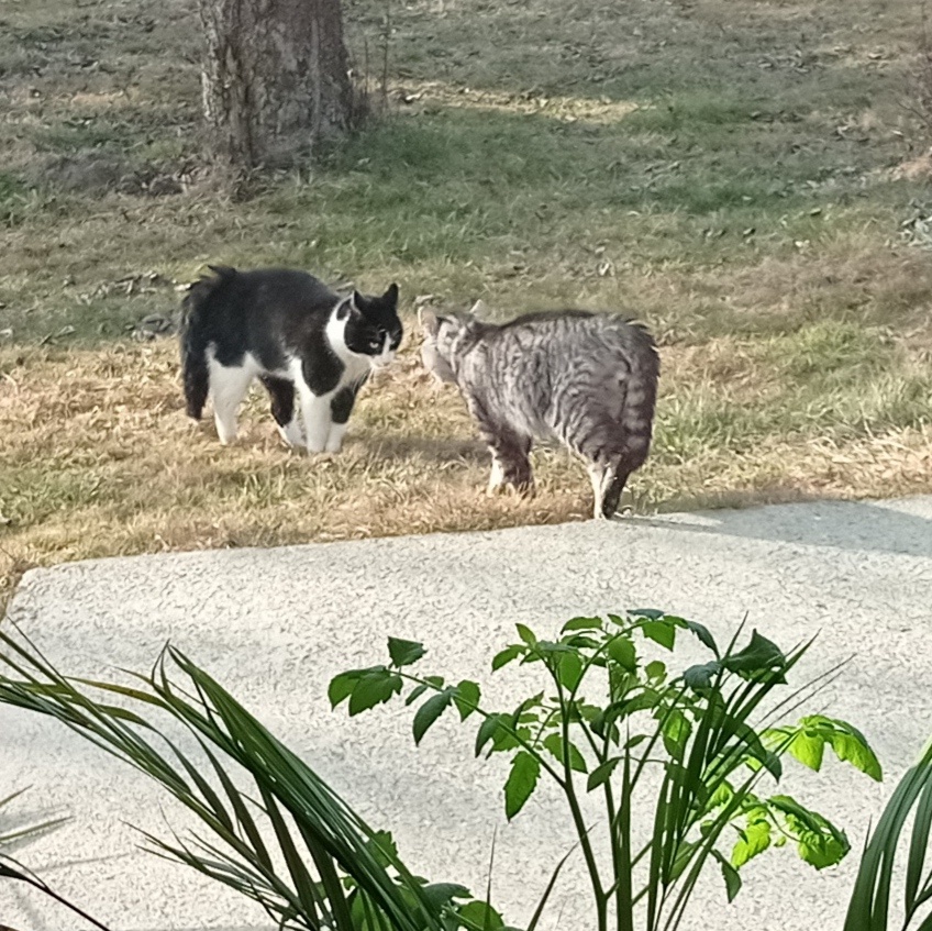 e700b9ef-fc91-4095-9e81-683a6ed79a96