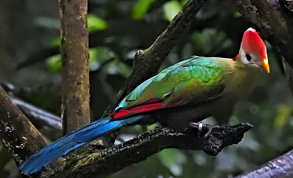 4f91216d-d0b6-4e1c-a08c-eccd6bff420c