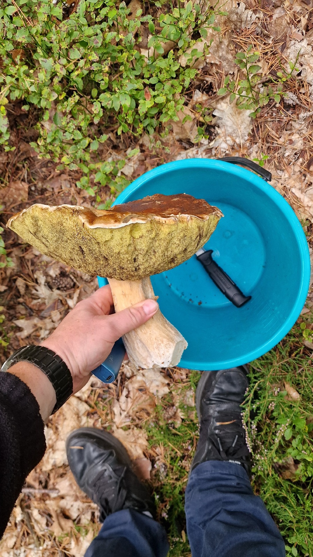 34e5cab4-98bd-44e9-a9c7-a614f2578c1a